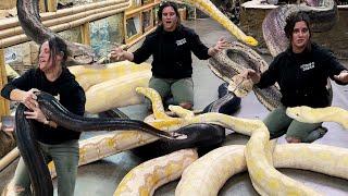 Moving GIANT Snakes at the Zoo