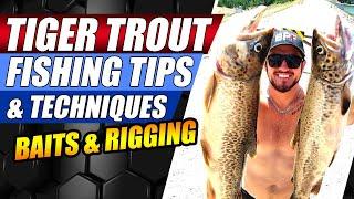 Tiger Trout Fishing Tips - Tiger Trout tips and Tricks - Rainbow Trout - Shore Fishing Tips