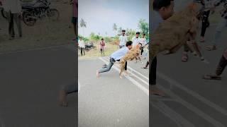 Greyhound Dog race Kolhapur || Dog race || Maharashtra Dog race || #shorts