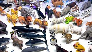 Takara Tomy Sea Animals & Animals - Orca, Whale, Penguin, Polar Bear, Seal, Turtle, Shark, Manta Ray