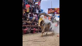 KRISHNAGIRI ERUTHUKATTU 