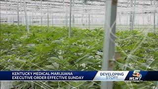 Kentucky's medical marijuana order goes into effect Jan. 1