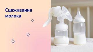 Сцеживание грудного молока: как правильно?