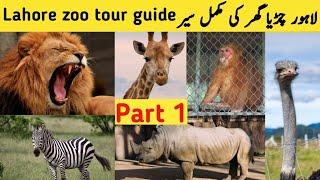 Lahore Zoo visit 2023 Part1 | Lahore zoo animals 2023 | Wild Park lahore 2023