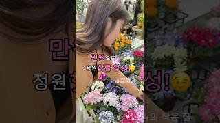 단돈 만원으로! 정원이 핫플 완성!공동구매 중꼭 보고가세요