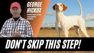 Pointing Dog Training - The Flyaway Drill by George Hickox