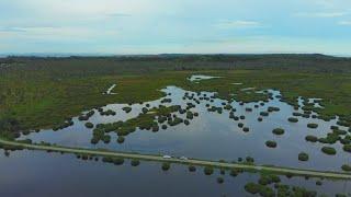 Trinidad - Columbus Bay & Icacos Wetlands