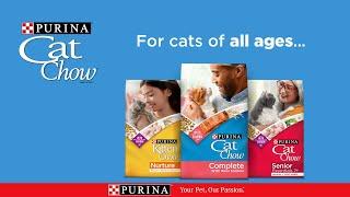 Purina Cat Chow for Cats of All Ages