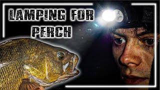 LAMPING FOR BIG PERCH | Alfie Russell | Perch At Night