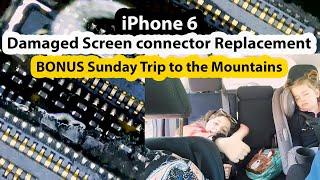 Sunday Trip + IPhone 6 Screen FPC connector replacement