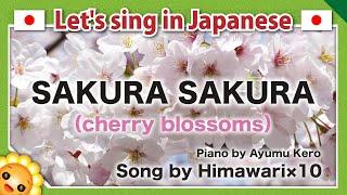 【Sakura sakura/さくらさくら】Japanese traditional songs in romaji　byHimawari