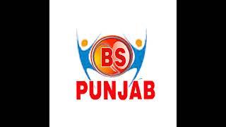 BS PUNJAB Live Stream