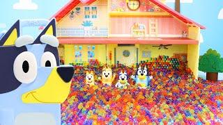 Bluey Funny Pranks with Bluey Toys - Bluey and Bingo Fun Jokes - Bluey Collector Case Prank- Heelers