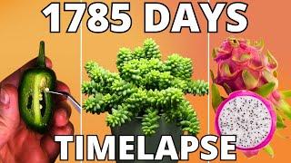 Nature's Ultimate Timelapse Compilation 2024: Plants & Ecosystems Unveiled!