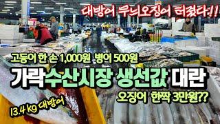 미친가격?? 생선값 왜이래? 가락동수산시장 난리났다! 고등어 한 손 1000윈 병어 500원 갈치 550원 조기 600원  오징어 1짝 3만원?