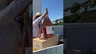 Is This The World's Biggest Bottle Of Wine?!?