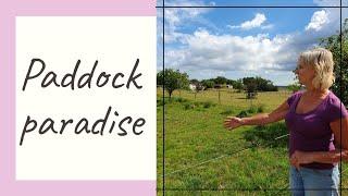 Welcome to our Horse track system - Paddock paradise