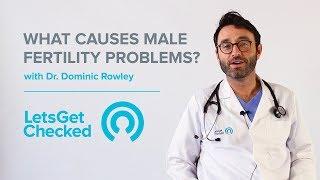 What Causes Male #Fertility Problems? Risk Factors, Causes & Getting Tested from Home