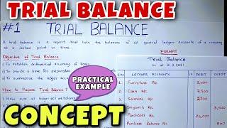 Trial Balance - Concept & Problem - Class 11 / B.COM / CA Foundation