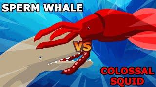 Sperm Whale vs Colossal Squid | Underwater Fight Club [S1] | Animal Animation