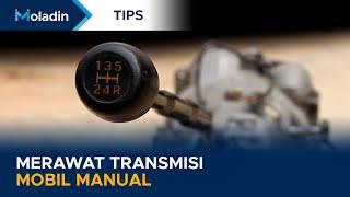 TIPS MERAWAT TRANSMISI MOBIL MANUAL, REAL MAN HARUS TAHU | MOLADIN