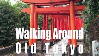 【Tokyo Guide Ep.13】YANESEN #tokyoextra #東京EXTRA