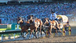 THE COMPLETE RIDER  • CHUCK WAGON RACES & THE PONY EXPRESS