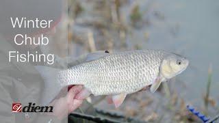 Big chub fishing in the winter with Diem