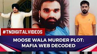 Sidhu Moose Wala's Murder A Tale Of Vengeance: Revenge And Gang-Rivalry, Times Now Decodes Mafia Web