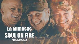 Soul on fire - La Mimosas (Official Video)