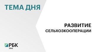 Сельхозкооперативы Башкортостана за 10 мес. 2024 г. произвели продукции на ₽2,2 млрд