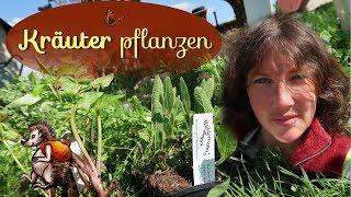 Kräuter pflanzen im Garten | Unboxing Rühlemanns Kräuter