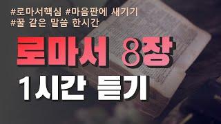 [성경연속듣기] 로마서 8장 1시간  꿀 같은 말씀 마음판에 새기기ㅣ말씀듣기ㅣ말씀암송ㅣ듣는성경ㅣ성경말씀 암송하기