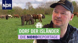 Wo der Tölt der Islandpferde den Alltag bestimmt | Die Nordreportage | NDR