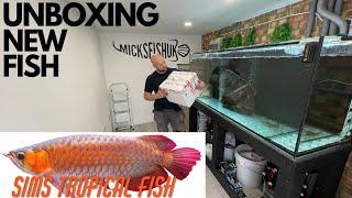 UNBOXING NEW FISH FROM SIMS TROPICAL FISH WHAT DID I GET???