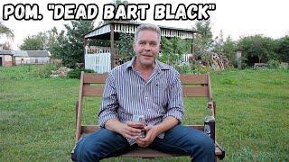 Ром. "Dead Bart Black"