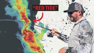 How Bad is this RED TIDE for Anna Maria Island?