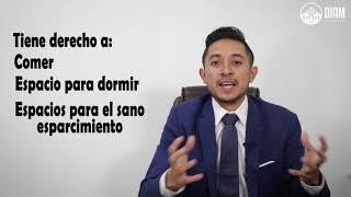 CARTA INVITACIÓN: Formas de ingresar legalmente a México - Abogados Migratorios DIAM S.C.