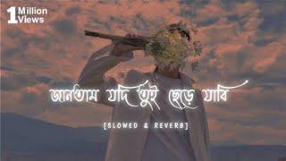 জানতাম যদি তুই ছেড়ে যাবি | - [Slowed + Reverb] Jantam Jodi (Lo-fi)| Tausif Ahmed | Bangla New Video