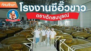 The process of crafting light soy sauce at Deksomboon factory!  - TGC Field Trip