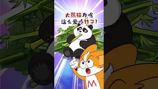 【小魔】大熊猫为啥这么爱吃竹子？#shorts