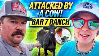 Attacked By a Cow! | Bar 7 Ranch