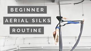 Aerial Silks Beginner Choreography to Winter Song