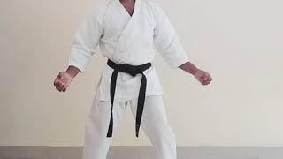 Karate Punches And Strikes /Mawashi Zuki/Tate Zuki In Malayalam