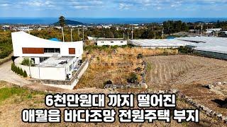 6천만원대 까지 떨어진 애월읍 바다조망 전원주택 부지, 제주도경매, 제주도부동산, 제주도토지, 제주도주택