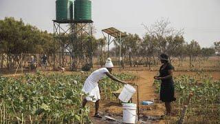 Zimbabwe’s Climate-Smart Agriculture: Empowering Farmers through Resilience and Innovation