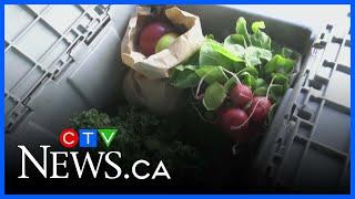 Lufa Farms expands delivery service to Ottawa