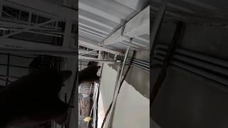 functional wiring | electrical work | Srikanth electrical works #youtubeshorts #shorts #electrical