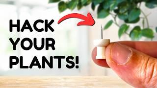 Top 10 Plant Hacks Everyone Should Know