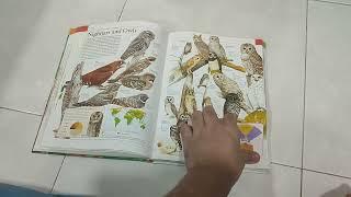 children encyclopedia of animals